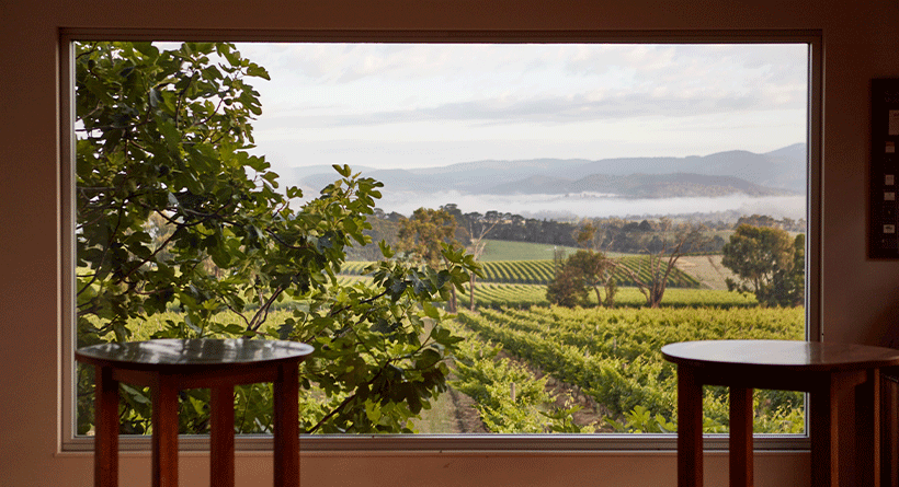 Yarra Yering Vineyard